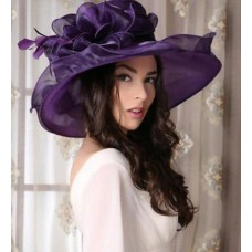 Hats Organza Feather 's Kentucky Derby Church Nobles Court Party Dress Caps  eb-07462838